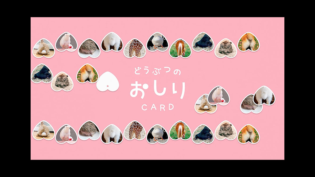 Dobutsu no Oshiri Cards<br>どうぶつのおしりCARD