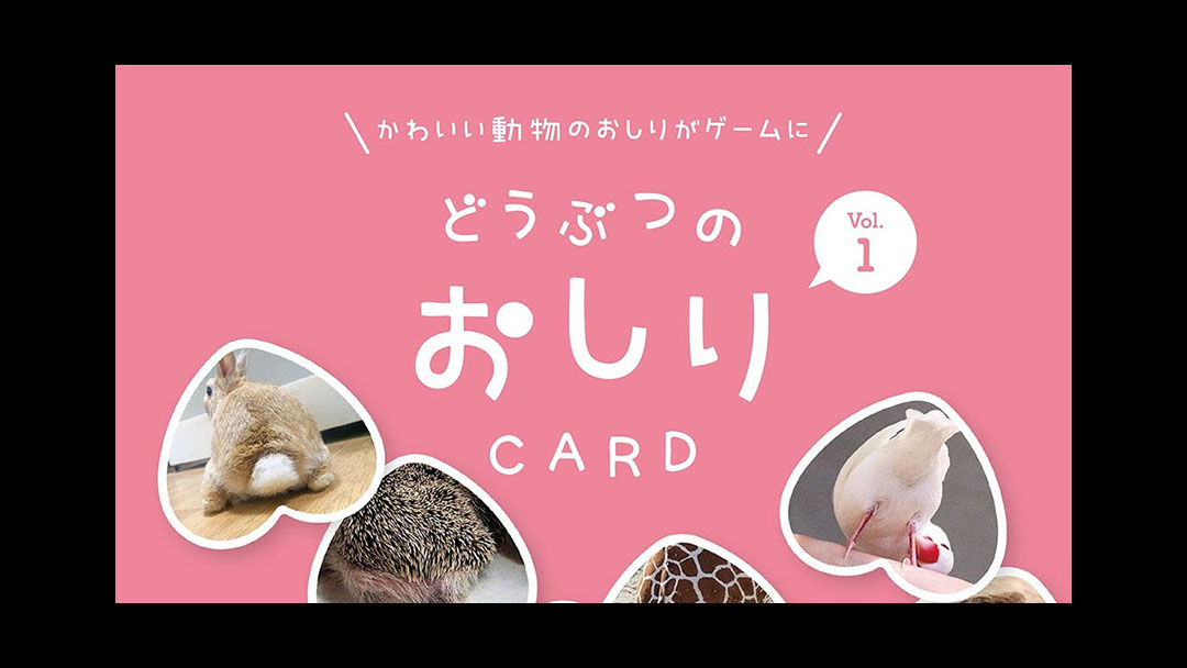 How to Play Dobutsu no Oshiri Cards: New Rules<br>どうぶつのおしりCARDの新しい遊び方
